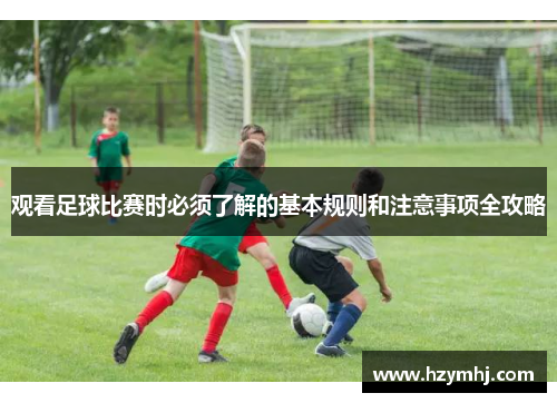 观看足球比赛时必须了解的基本规则和注意事项全攻略