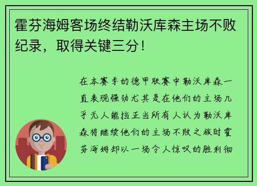霍芬海姆客场终结勒沃库森主场不败纪录，取得关键三分！